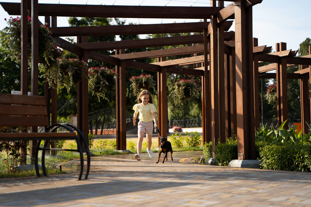  Pergola Contractors in San Carlos for Beautiful Outdoor Living Spaces