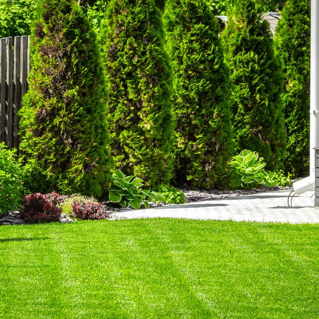  Lawn Fertilization & Weed Control Services in Dublin, OH | Tuff Green Lawn
