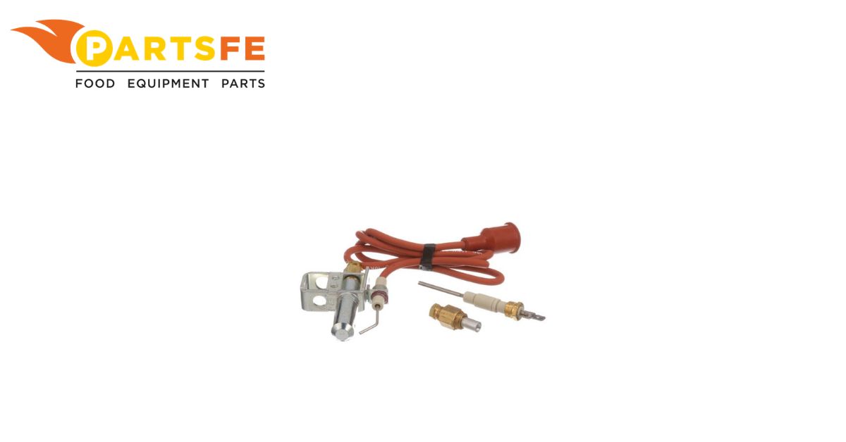  Johnson Controls J9993DDW Ignitor Pilot