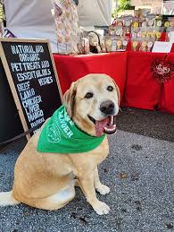  Raw Dehydrated Pet Treats
