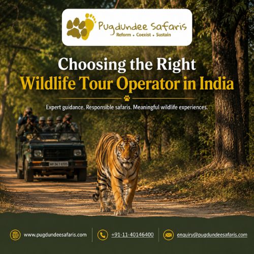  Choosing the Right Wildlife Tour Operator in India