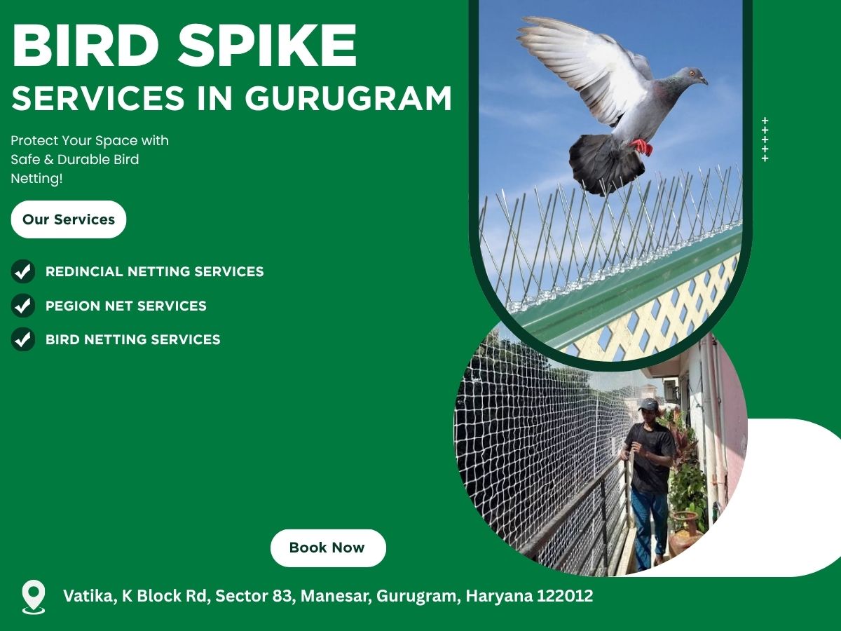  Top Bird Spike Services in Gurugram