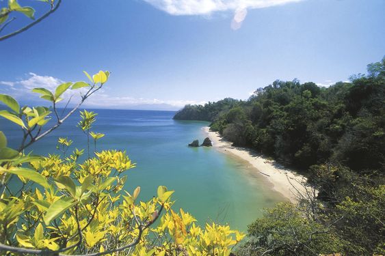  Why Is Safe Travels Comprehensive a Popular Visitor Insurance Plan?