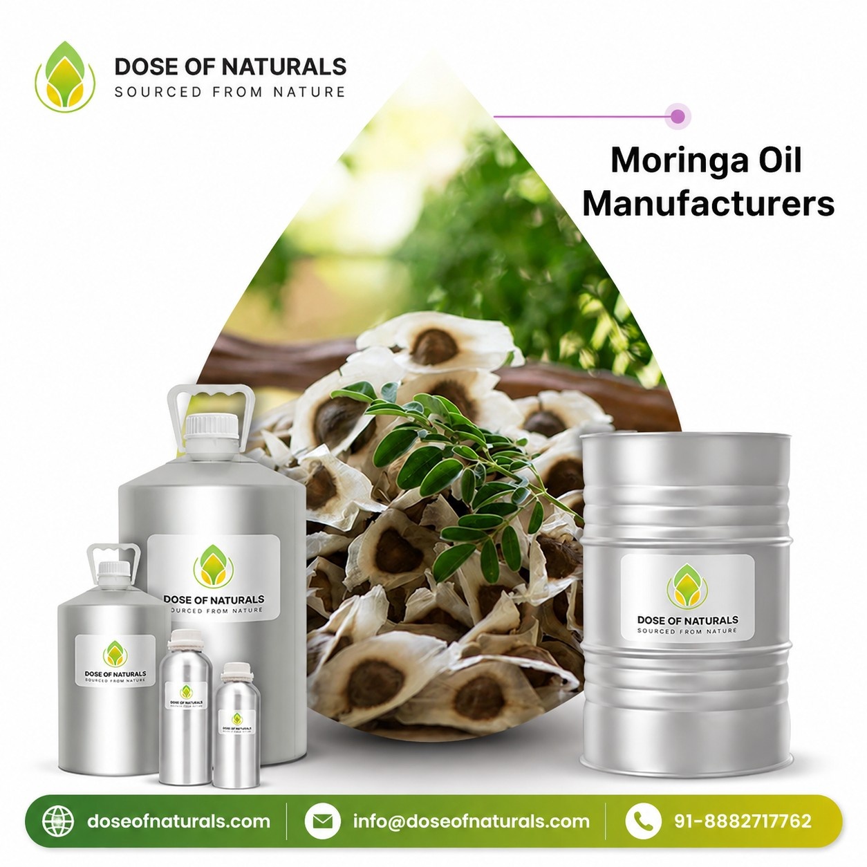  Moringa Oil Manufacturers for Pure and Natural Oil Supply