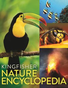  Shop Story Books Online at Om Books Chennai and Delhi's Best Book Store