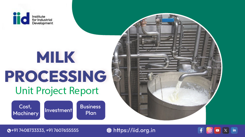  Start a Milk Processing Business with the Right Project Planning (2026)
