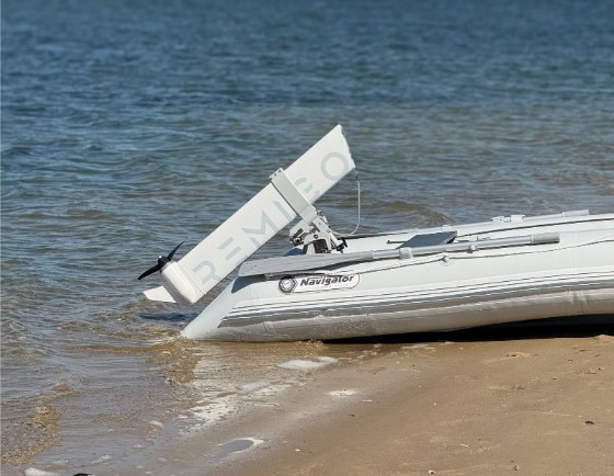  Simplify Your Water Days With A Remigo Outboard