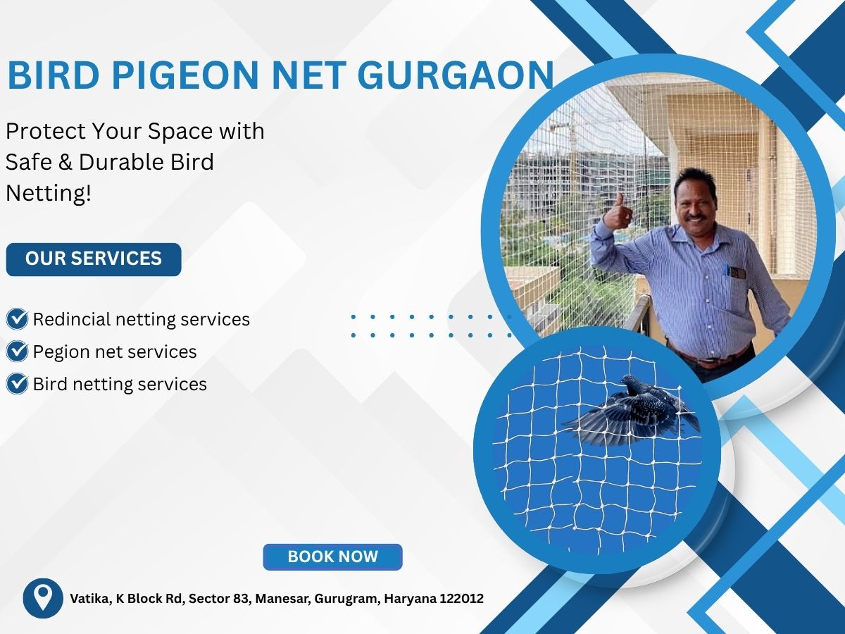  Bird Pigeon Netting Services in Gurugram | Trusted