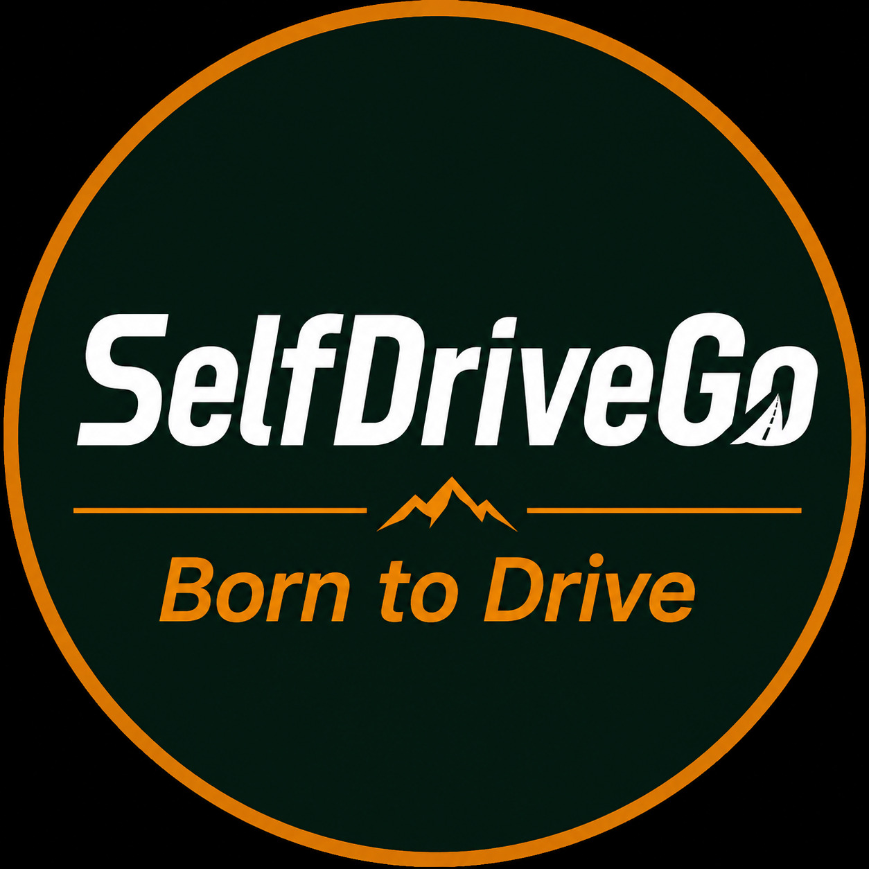  SelfDriveGo