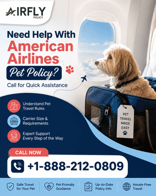  Need Help With American Airlines Pet Policy? Call for Quick Assistance