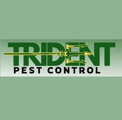  ant control Tarneit
