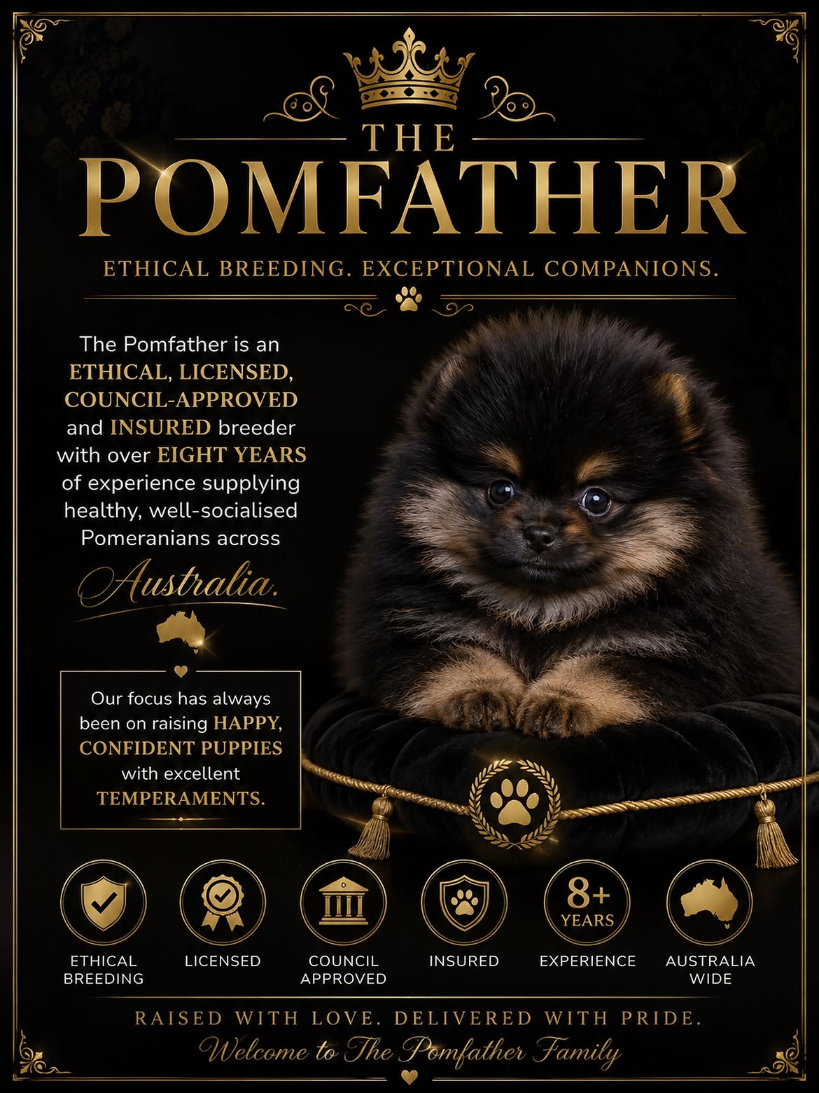  Trusted Pomeranian Dog Breeders at The Pomfather