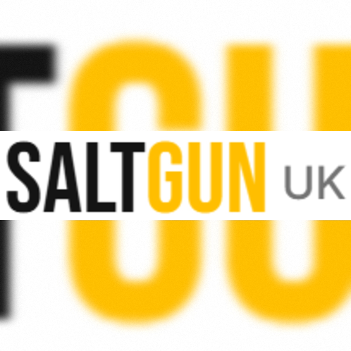  Kill Flies Fast With a Bug-A-Salt Gun in the UK Salt Gun Store