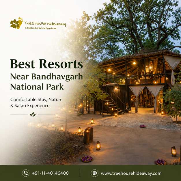  Best Resorts Near Bandhavgarh National Park – Comfortable Stay, Nature & Safari Experience