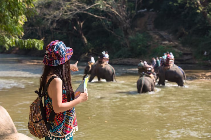  Luxury Wildlife Safaris In Tanzania For An Unforgettable African Escape