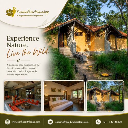  Plan a Memorable Stay at Resorts in Kanha National Park