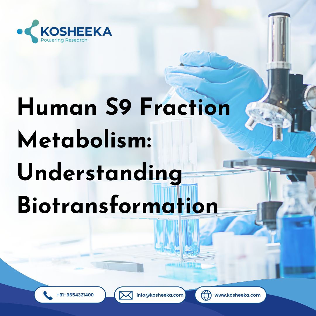  Human S9 Fraction Metabolism: Understanding Biotransformation