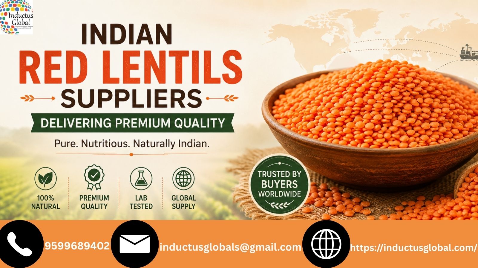  Indian Red Lentils Suppliers Delivering Premium Quality