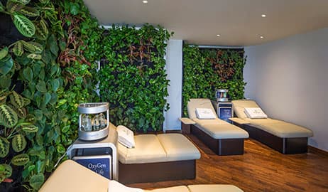  Luxury Wellness Resort for a Restorative Dubai Escape