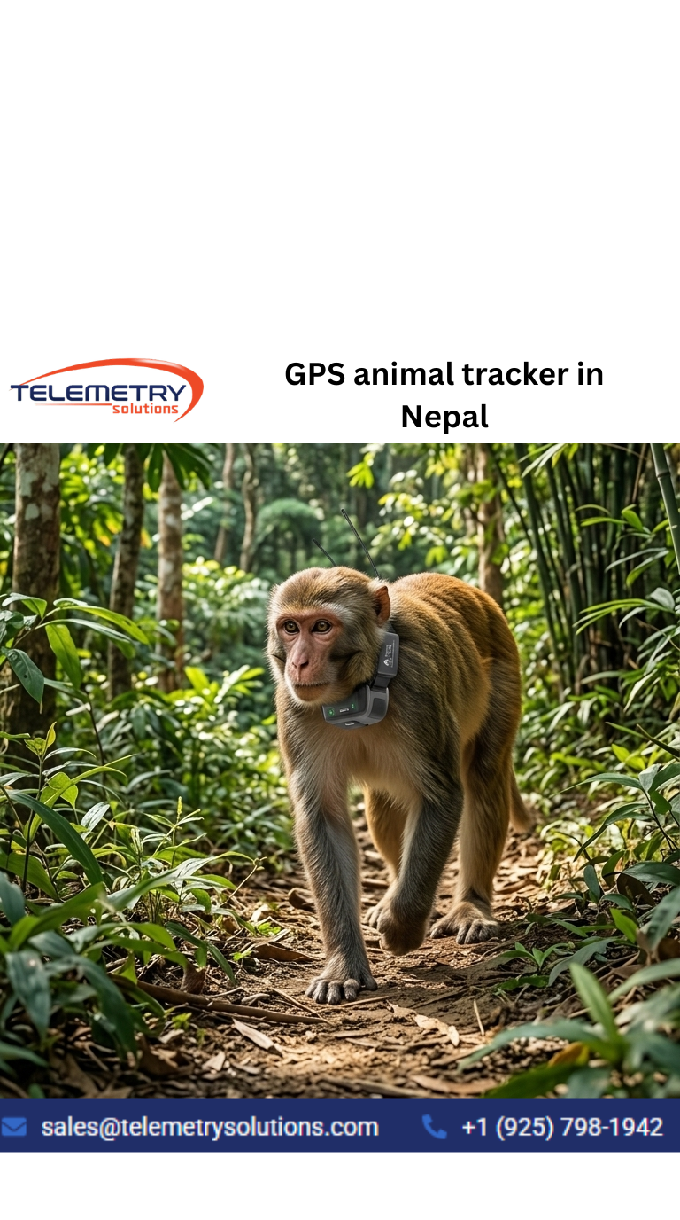  Monkey Tracker in Nepal with Advanced GPS Tracking Technology