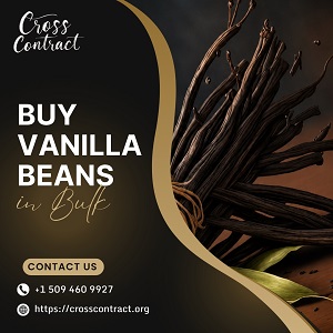  Buy Vanilla Beans in Bulk