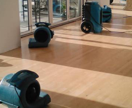  Emergency Cleaning Service