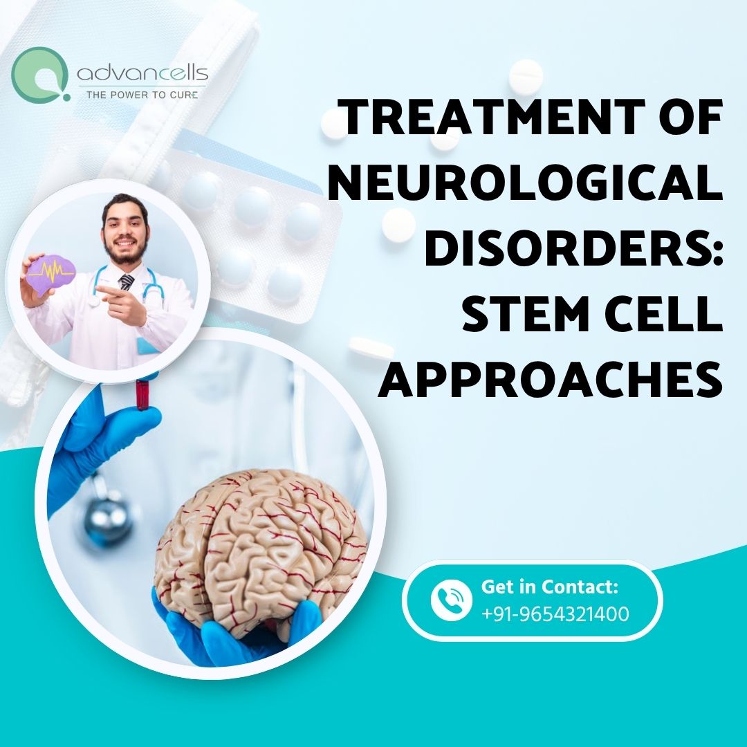 Treatment of Neurological Disorders: Stem Cell Approaches
