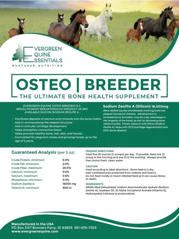  Horse Joint & Bone Supplement | Osteo-Breeder Mineral – evergreenequine.com