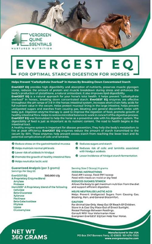  Horse Digestive Supplement | EverGEST EQ Enzymes – Evergreen Equine