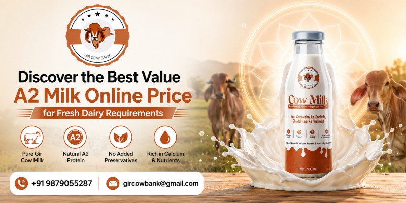  Discover the Best Value A2 Milk Online Price for Fresh Dairy Requirements