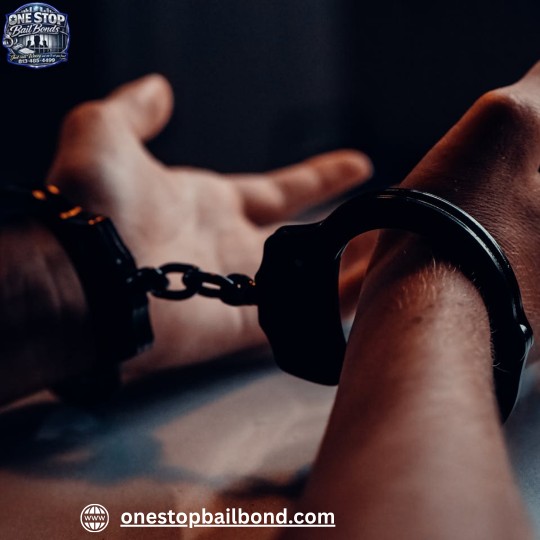  Felony Bail Bonds Tampa Florida | One Stop Bail Bonds