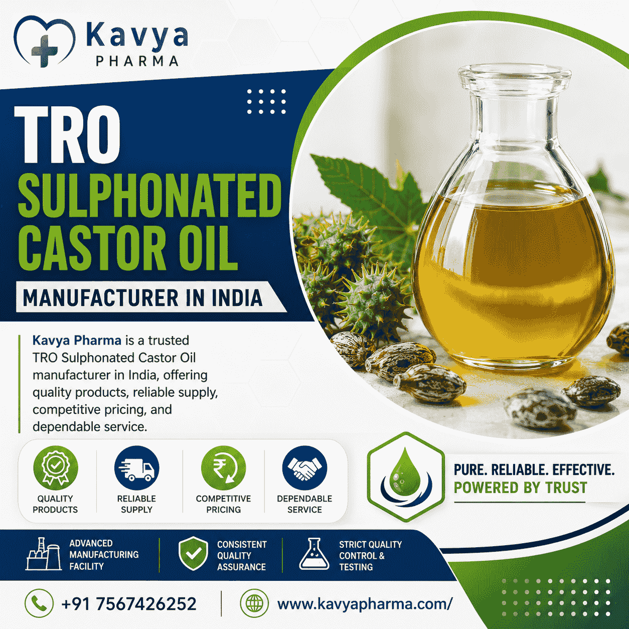  TRO Sulphonated Castor Oil Manufacturer in India
