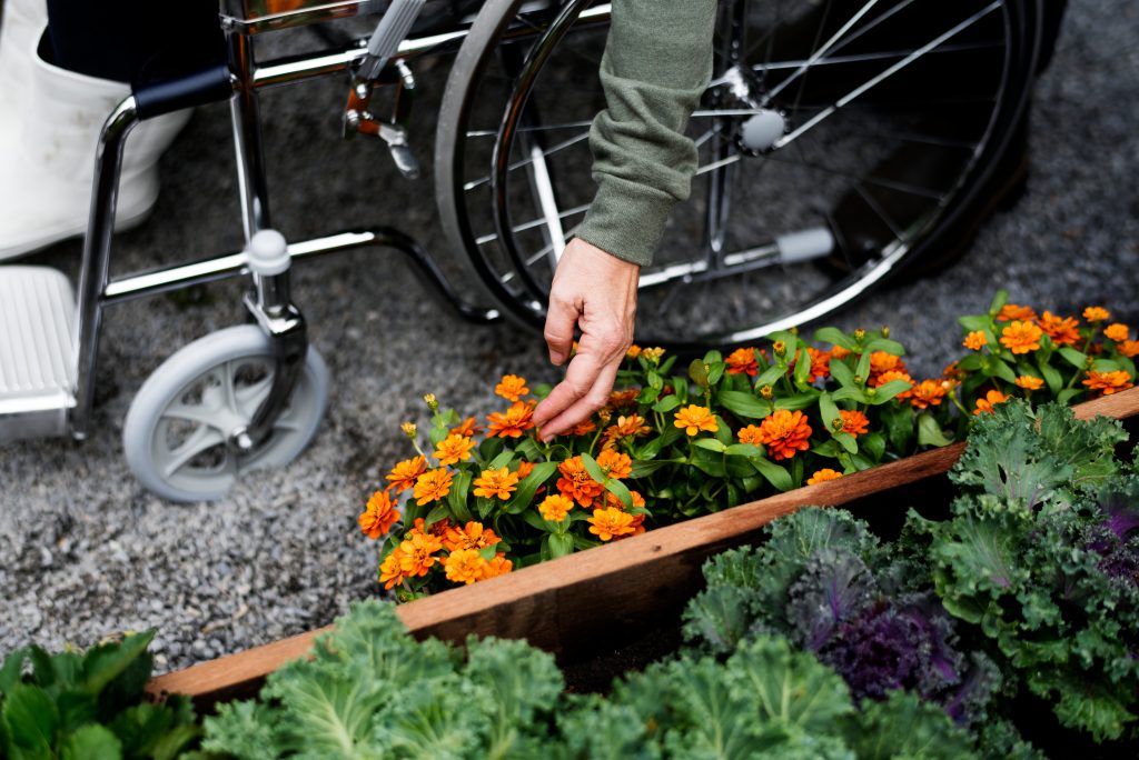  Overgrown Garden Becoming a Problem? Book NDIS Gardening Services Now