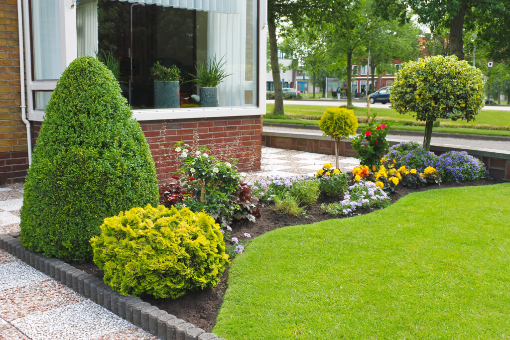 Pro Landscaping Services & Designs
