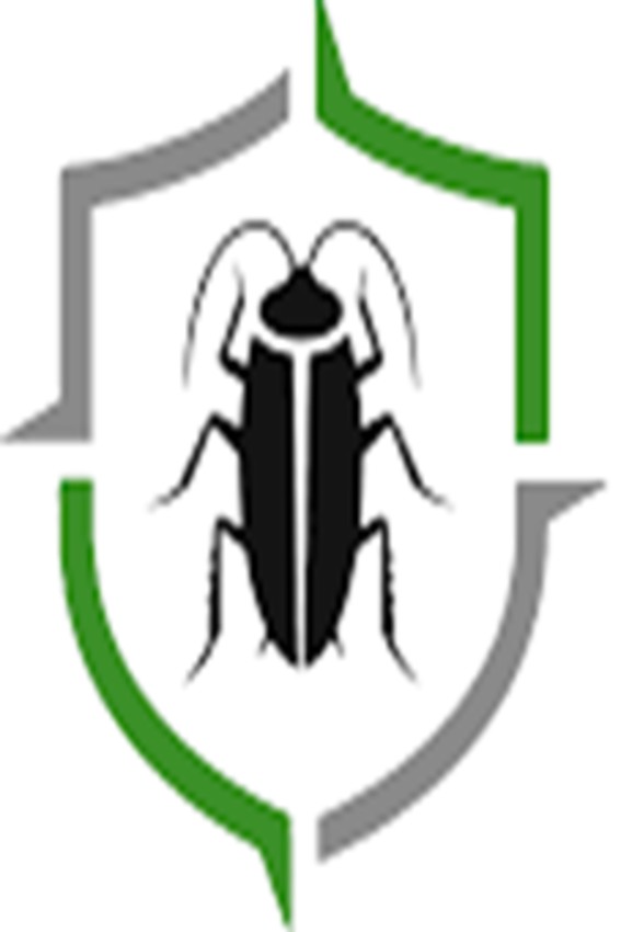  Termite Treatment Adelaide | Effective Termite Control & Protection