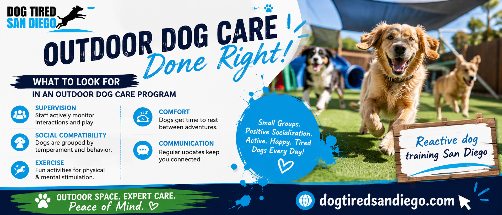  Outdoor Dog Care Tips for Happy, Active Dogs