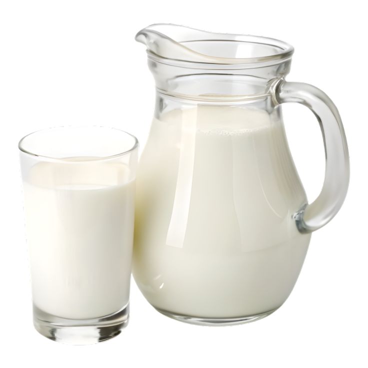  Milk Dairy