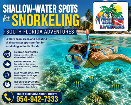  Shallow-Water Spots for Snorkeling South Florida Adventures