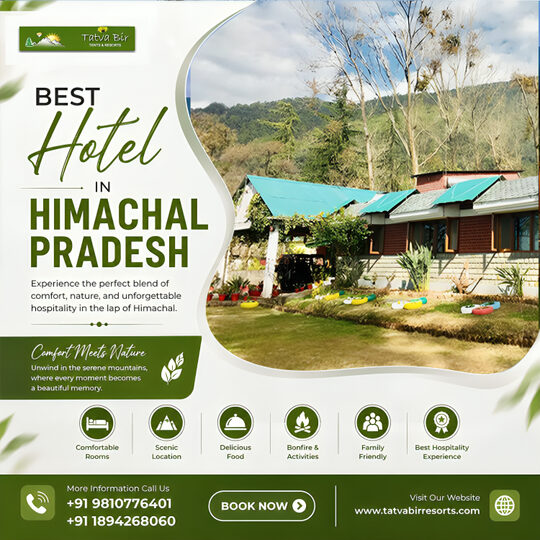  Best Hotel In Himachal Pradesh for a Memorable Stay