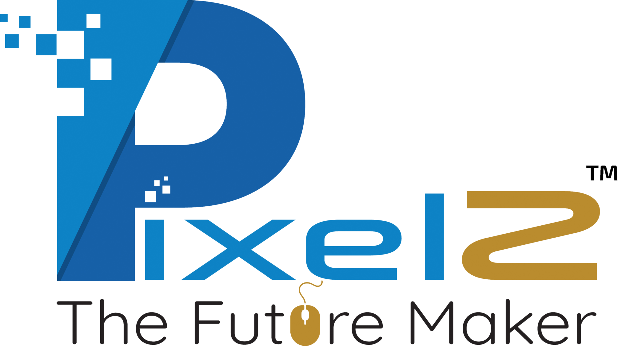 Digital Marketing Course in Baidyabati – PixelZ Education