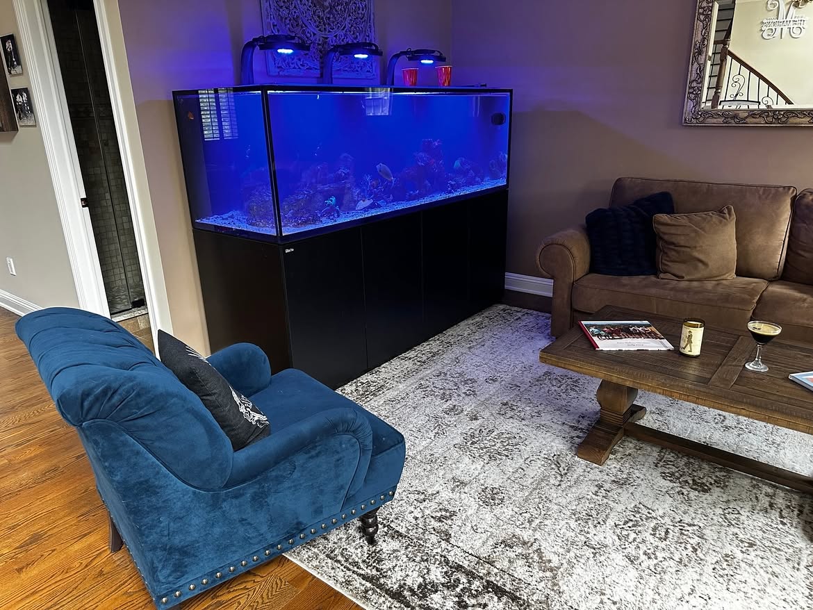  Dreaming of a Custom Aquarium? Let’s Design It Together