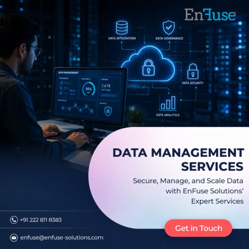  Secure, Manage, and Scale Data with EnFuse Solutions’ Expert Services