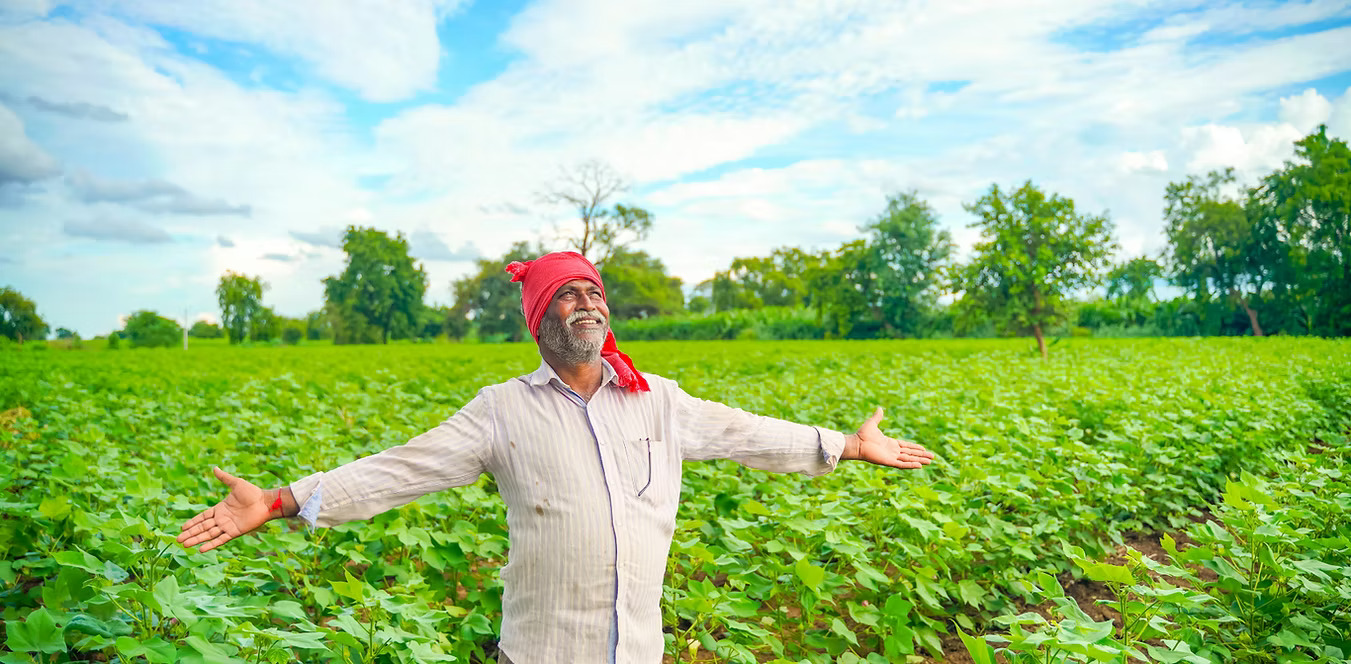  Best Seed Companies in India for Quality Farming