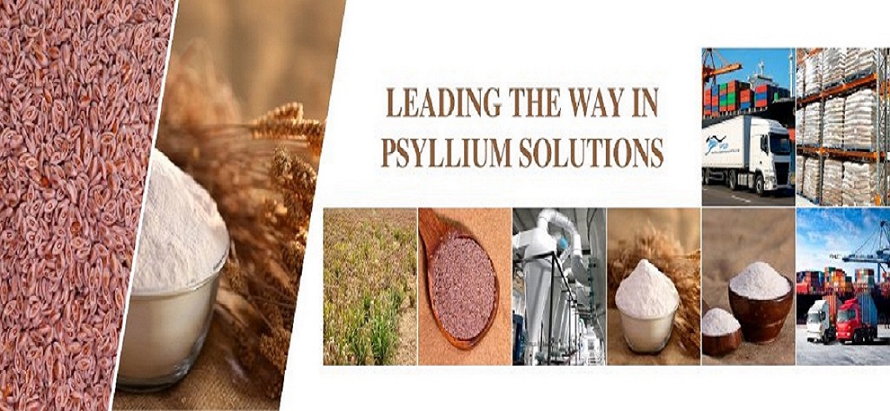  Partner with a Trusted Psyllium Manufacturer in Australia Today