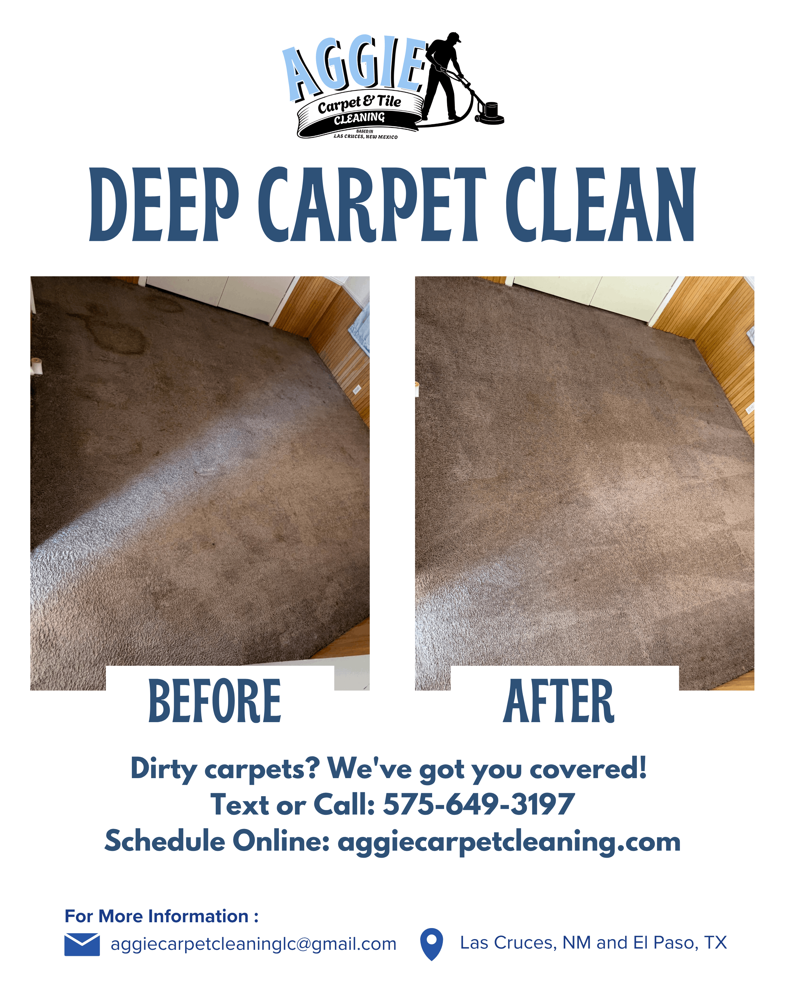  What to Do When Carpet Gets Wet
