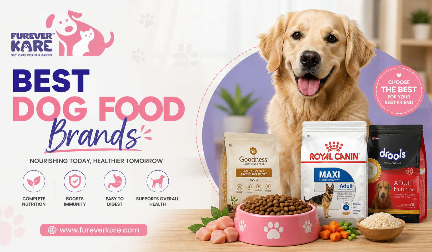  Best Dog Food Brands in India 2026 | Furever Kare