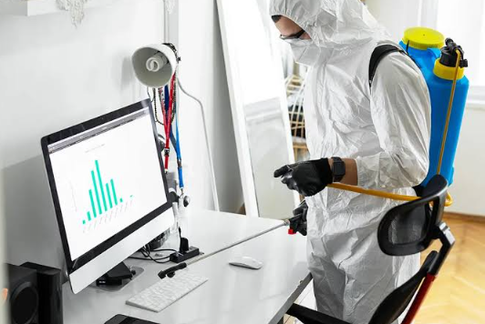  Office Pest Control Sydney for a Cleaner and Safer Workplace