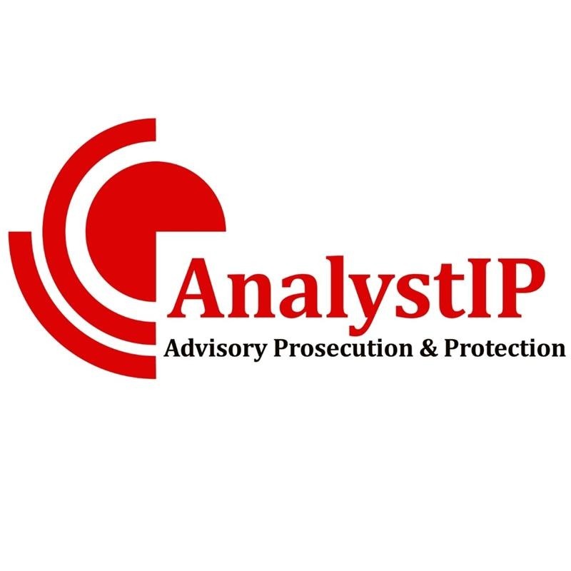  Reduce Patent Risks with Expert Invalidity Search Services