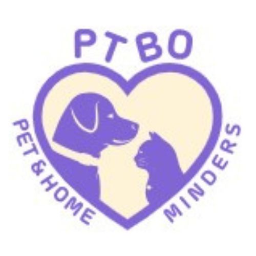  Reptile and Rodent Care Rural for Everyday Pet Needs | Ptbo Pet & Home Minders