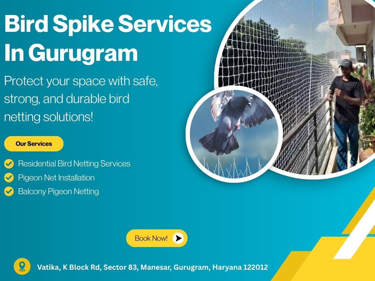  Reliable Bird Spike Service in Gurugram